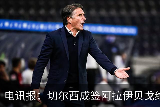 电讯报：切尔西成签阿拉伊贝戈维奇最大热门，球员身价3000万镑